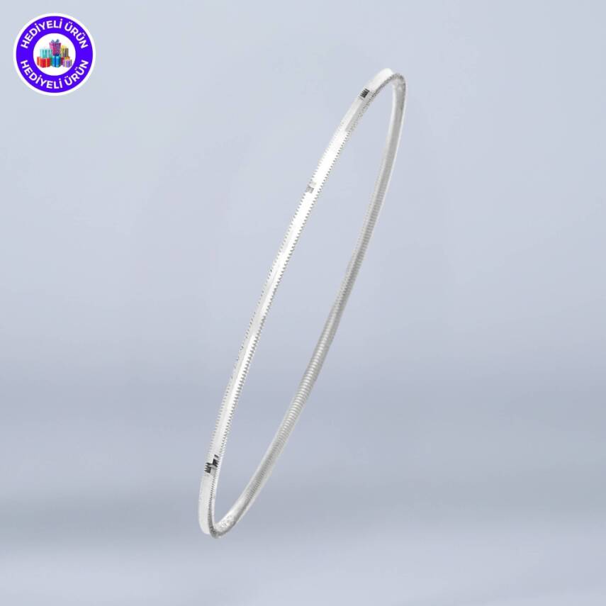 E-GÜMÜŞ 925 AYAR GÜMÜŞ KADIN AJDA YATIRIMLIK BİLEZİK - 1